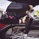 Denso Oil Filter